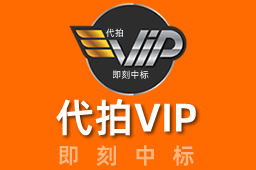 代拍VIP-专业沪牌代拍服务商